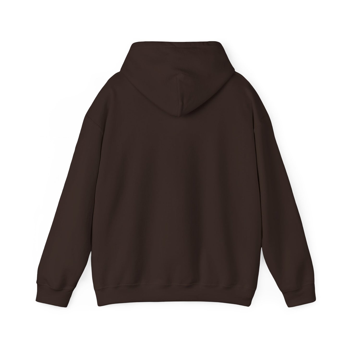 Inaugural Northeast Drone Meetup Hoodie