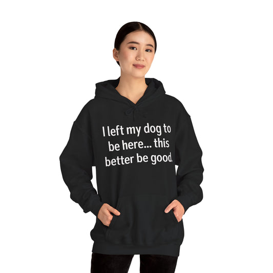 I left my dog to be here... this better be good Hoodie