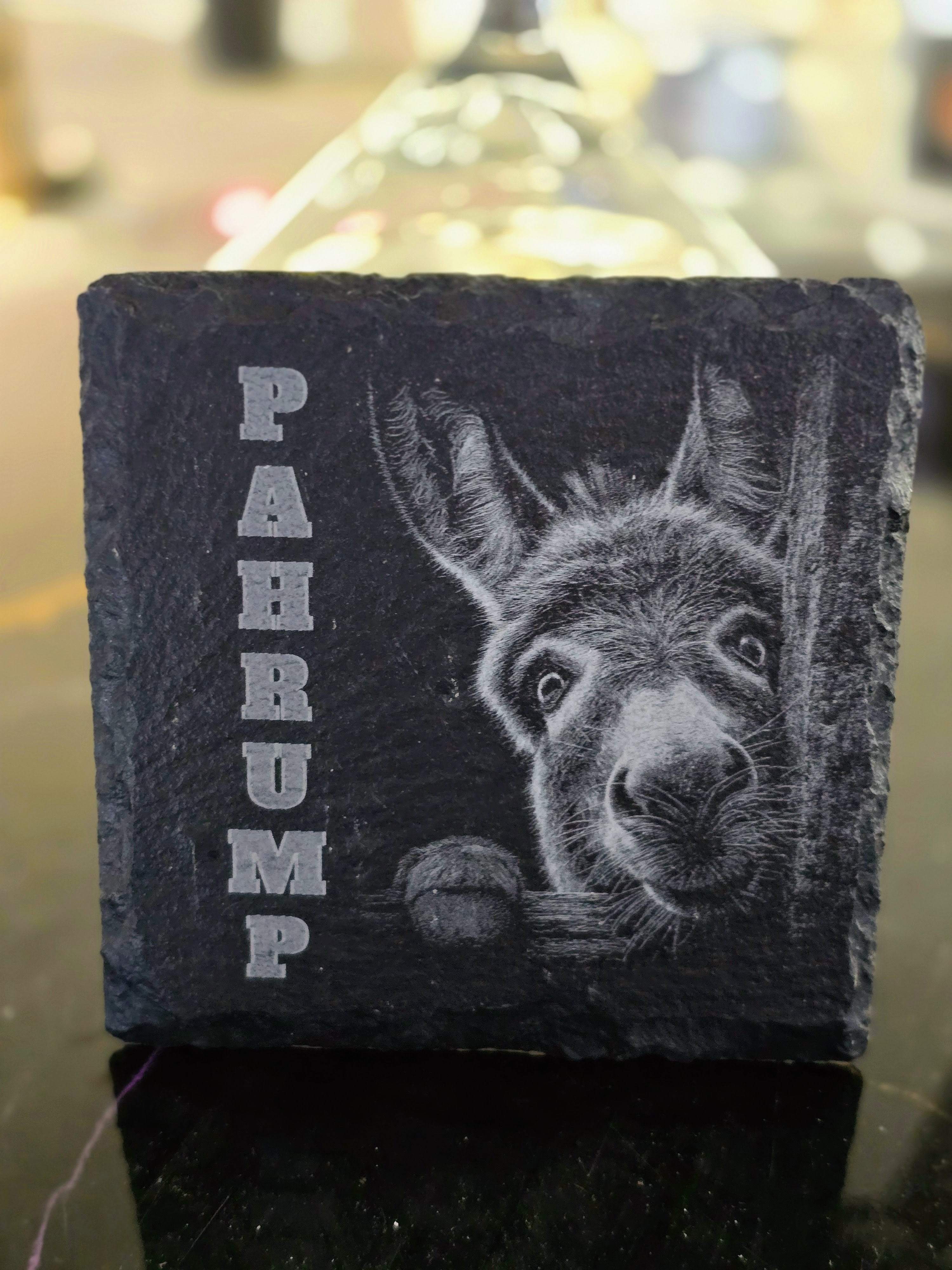 Pahrump Burro Square Slate Coasters – Laser Engraved Natural Stone Coasters – Modern Home & Bar Décor